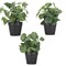 Mini Fake Plants Set of 3 - Small Lifelike Artificial Potted Plants in Ceramic Pots for Home, Office Desk, Bathroom Shelf, Farmhouse Decor